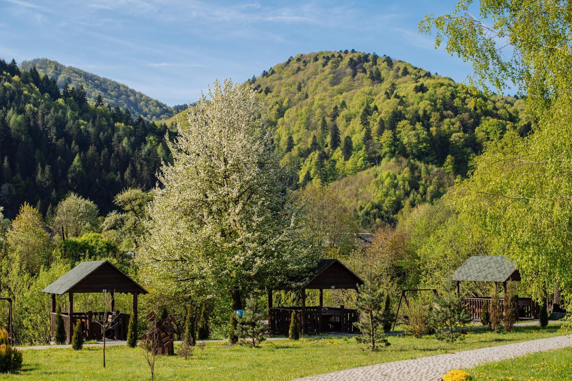 Рибничанка Hotel Skhidnytsia Exterior photo